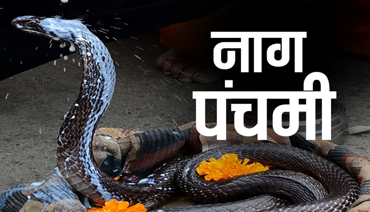 नाग पंचमी 2020 : शिव गायत्री मंत्र पूजन दिलाएगा कालसर्प योग से छुटकारा