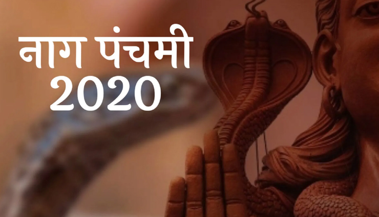 नाग पंचमी 2020 : चांदी के नाग-नागिन के साथ आजमाए ये 7 उपाय, दूर होगा हर संकट