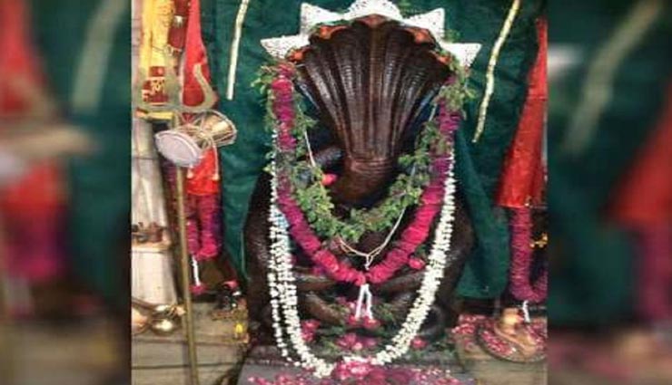 astro tips,astro tips in hindi,nag panchami 2019,nag panchami,mythological importance of nagapanchami,nagavansh