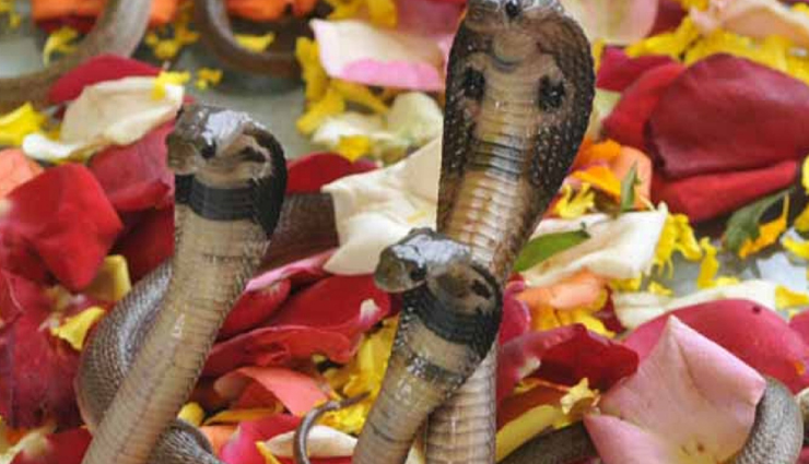 astrology tips,astrology tips in hindi,sawan,sawan special,sawan 2020,lord shiva,nag panchami 2020