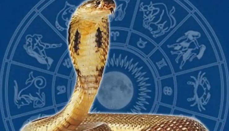 नागपंचमी 2020 : लग्नानुसार मंत्र से करें नाग की आराधना