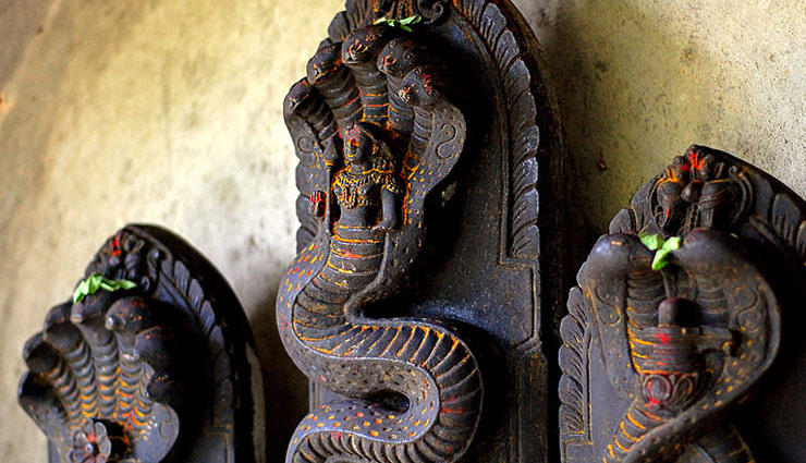 जाने नागपंचमी का महत्व और नाग को दूध पिलाने का कारण