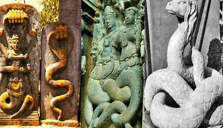 naag panchmi,milk,sawan,sawan 2018