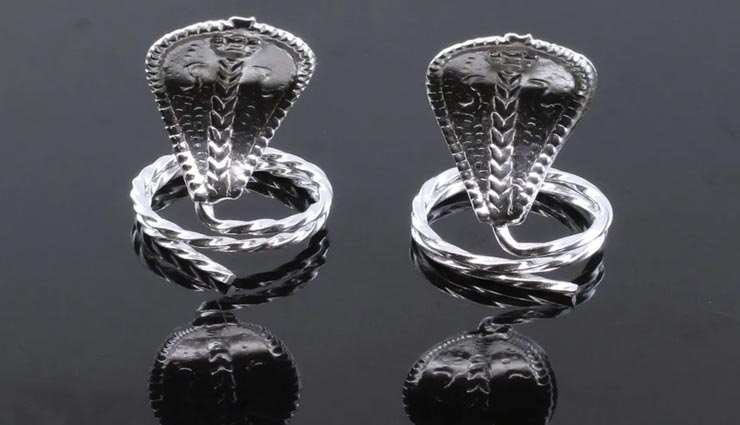 astrology tips,astrology tips in hindi,nag panchami 2021