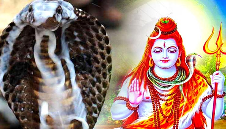 Nag Panchami 2019 : आखिर क्यों की जाती है साँपों की पूजा, जुड़ा है व्यक्ति का सौभाग्य
