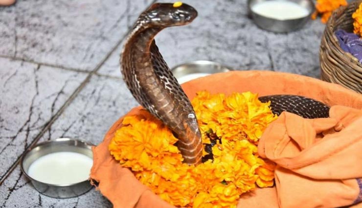 astro tips,astro tips in hindi,nag panchami 2019,nag panchami beliefs,nag panchami in puran