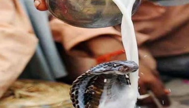 astro tips,astro tips in hindi,nagpanchami,nagpanchami 2019,nagpanchami measures,measures to fulfill all wishes