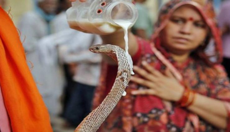 nag panchami,nag panchami 2019,mythology of nag panchami,nag panchami importance