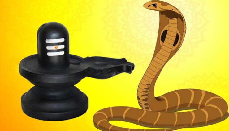 astrology tips,astrology tips in hindi,astrology measures,nag panchami,nag panchami 2019,nag panchami measures