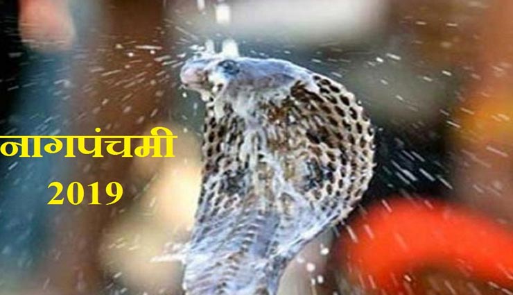 Nag Panchami 2019: आखिर क्यों मनाई जाती हैं नागपंचमी, पुराणों में प्रचलित है कई मान्यताएं