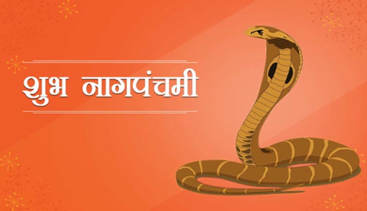 Nag Panchami 2019: पौराणिक महत्व रखता हैं नागपंचमी का पर्व, जानें नागवंश के बारे में