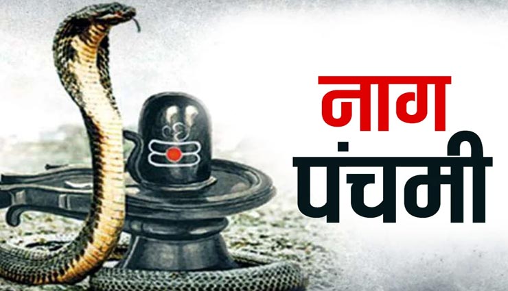 नागपंचमी पर किए जाने वाले इन उपायों से नहीं होगा घर में कभी सांप आने का डर 