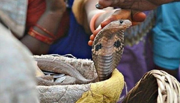 unusual festivals you can experience in india,6 unusual festivals you can experience in india,travel in india,tourist places in india,holidays in india