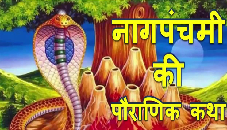 नाग पंचमी 2020 : नाग भाई ने की थी बहन की रक्षा, जानें यह पौराणिक कथा