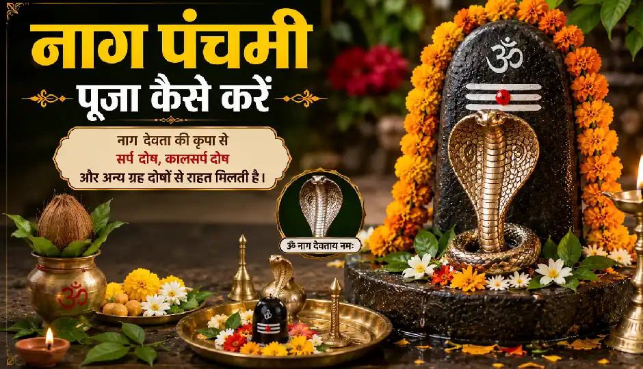 नाग पंचमी पर बन रहे हैं शुभ योग, 17 अगस्त को ऐसे करें पूजा; जानें नाग देवता को प्रसन्न करने के उपाय