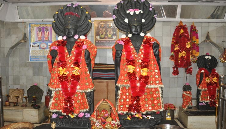 nag panchami,nag panchami 2019,kaal sarp yog,temple of snakes,indian old temple
