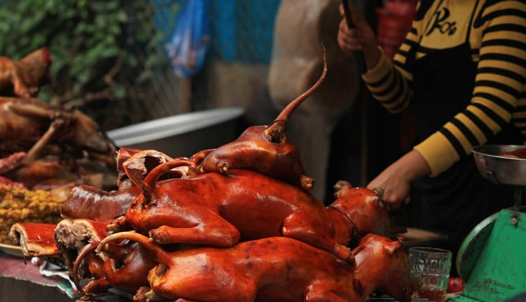 most visited places in nagaland,nagaland tourist attractions,popular spots in nagaland,nagaland travel destinations,top places to visit in nagaland,tourist hotspots in nagaland,nagaland sightseeing locations,exploring nagaland landmarks,famous places in nagaland,nagaland tourism highlights,must-visit spots in nagaland,nagaland travel guide,cultural attractions in nagaland,historical places in nagaland,nagaland tourism landmarks,best places to explore in nagaland,nagaland travel recommendations,tourist favorites in nagaland,scenic places in nagaland,nagaland sightseeing guide