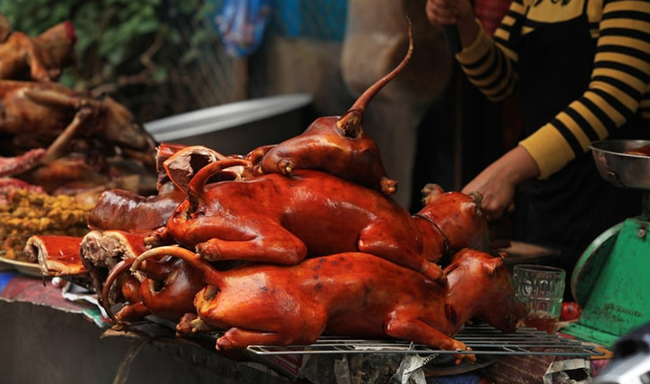 nagaland cuisine,delicious naga dishes,authentic nagaland food,naga culinary delights,must-try naga recipes,tasting nagaland specialties,exploring naga gastronomy,savory nagaland fare,traditional naga cooking,experiencing nagaland flavors,naga food culture,nagaland gastronomic treasures,authentic naga cuisine,traditional nagaland recipes,flavors of nagaland,nagaland culinary heritage,naga street food,famous naga dishes,nagaland food exploration,indigenous naga ingredients