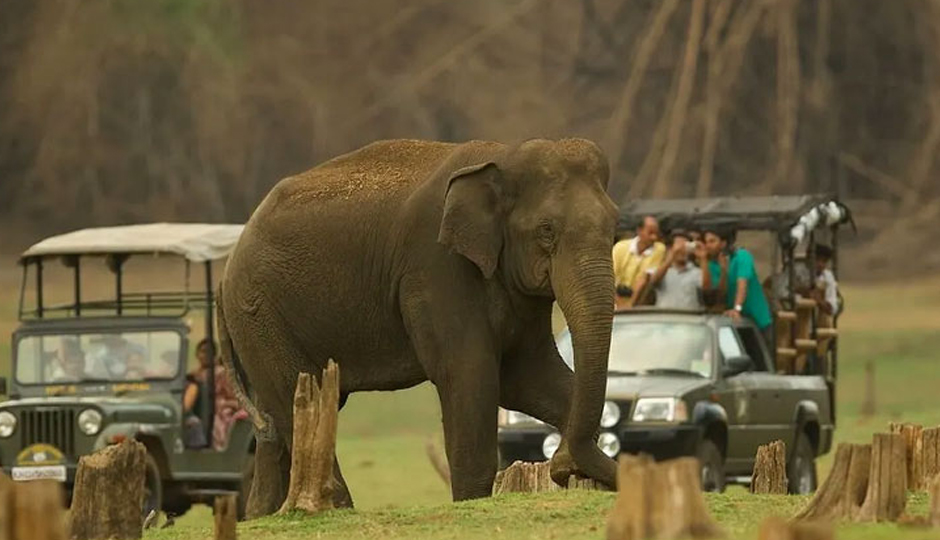 10 Places You Can Explore Near Nagarhole