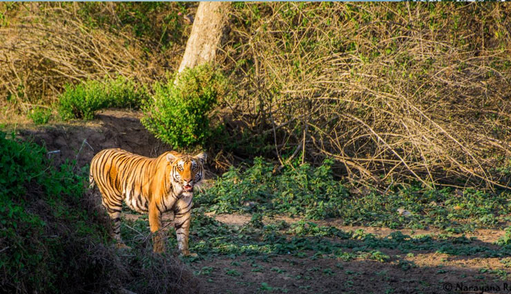 major attractions of madikeri,madikeri,places to visit in madikeri,holidays,travel,tourism