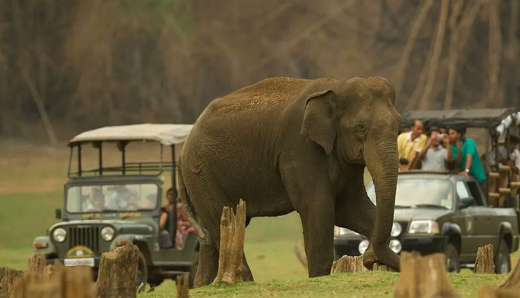 nagarhole national park guide,nagarhole national park safari,best time to visit nagarhole,wildlife in nagarhole,nagarhole national park karnataka,nagarhole tiger reserve,things to do in nagarhole,nagarhole safari booking,nagarhole travel tips,how to reach nagarhole national park