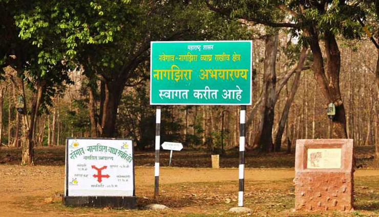 maharashtra,national park,maharashtra national park,national park in maharashtra,travel,holidays in maharashtra