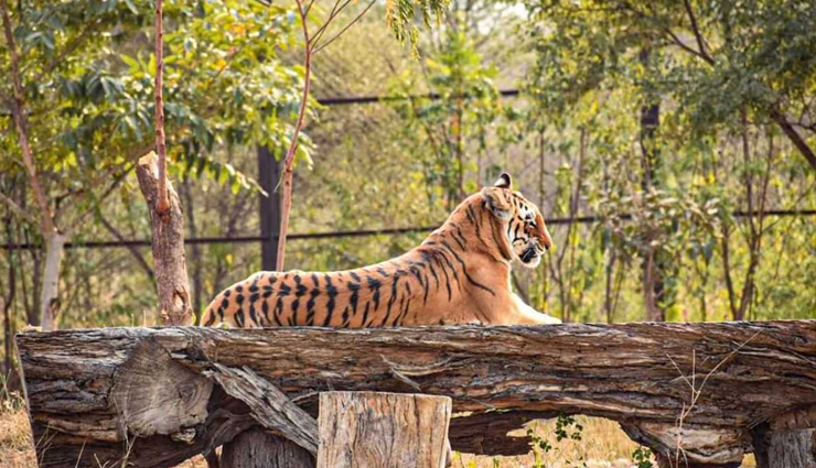 जयपुर के प्रसिद्ध पार्क, जहाँ जाकर मनाएं सावन के सोमवार famous gardens in jaipur,best gardens in jaipur,popular gardens in jaipur,must-visit gardens in jaipur,jaipur garden attractions,top gardens in jaipur,beautiful gardens in jaipur,historic gardens in jaipur,gardens to visit in jaipur,tourist gardens in jaipur,renowned gardens in jaipur,jaipur garden sightseeing,iconic gardens in jaipur,botanical gardens in jaipur,jaipur gardens travel guide