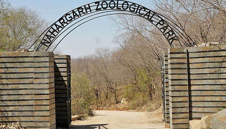 10 wildlife sanctuaries near jaipur,wildlife sanctuaries near jaipur,best wildlife parks near jaipur,ranthambore national park,sariska tiger reserve,keoladeo national park,ramgarh vishdhari wildlife sanctuary,jhalana safari park,nahargarh biological park,jamwa ramgarh wildlife sanctuary,keladevi wildlife sanctuary,tal chhapar wildlife sanctuary,desert national park,jaipur nature destinations,wildlife experiences near jaipur,wildlife tourism rajasthan