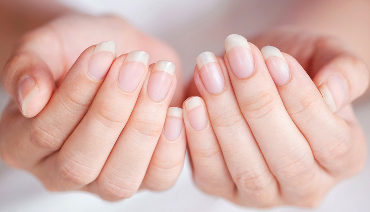 स्वास्थ्य के लिए हानिकारक है नाखून चबाना, हो सकती है कैंसर की सम्भावना, बिगड़ जाती है चेहरे की शेप
nail biting side effects,consequences of nail biting,risks of nail biting habit,how to stop nail biting,tips to quit nail biting,breaking the nail biting habit,nail biting and its impact on health,healthier nails: stopping the nail biting cycle,overcoming nail biting: tips and tricks,preventing nail biting for improved nail health