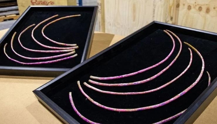 weird news,weird incident,world longest nail