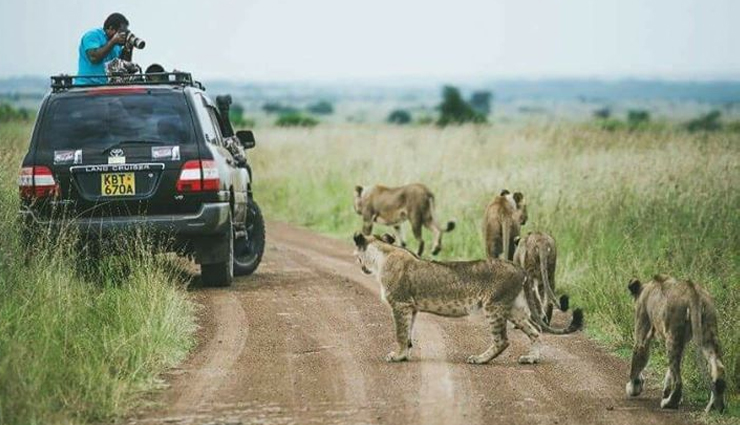 famous wildlife safaris,top safaris around the world,best wildlife safari destinations,popular global safaris,must-visit safari parks,wildlife safari tours,iconic safaris worldwide,top safari experiences,safari travel destinations,exotic safari trips