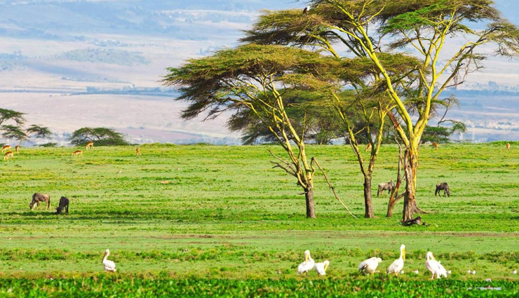 wildlife experiences around the world,must-have wildlife encounters globally,unforgettable wildlife experiences worldwide,must-visit wildlife destinations globally,wildlife adventures around the world,essential wildlife encounters in different countries,must-see wildlife spectacles globally,top wildlife experiences worldwide,wildlife encounters you should not miss,spectacular wildlife sightings around the world,wildlife tourism hotspots globally,must-have wildlife encounters for nature enthusiasts,extraordinary wildlife experiences worldwide,bucket-list wildlife encounters around the globe,must-visit destinations for wildlife lovers,thrilling wildlife encounters across continents,iconic wildlife experiences worldwide,essential wildlife destinations around the world,unforgettable animal encounters globally,unique wildlife experiences in different countries