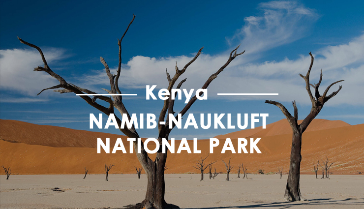 africa,national park in africa,must visit national park in africa,8 must visit national park in africa,serengeti national park,etosha national park,kruger national park,lake nakuru national park,namib-naukluft national park,virunga national park,ngorongoro national park,amboseli national park,travel,holidays,travel guide