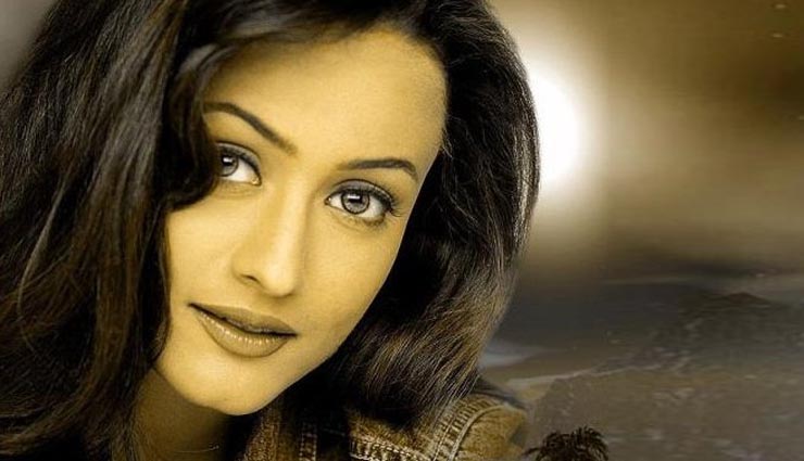 bollywood,actress,actresses who left bollywood,marriage,saira banu,aasin,gayatri joshi,twinkle khanna,namrata shirodkar