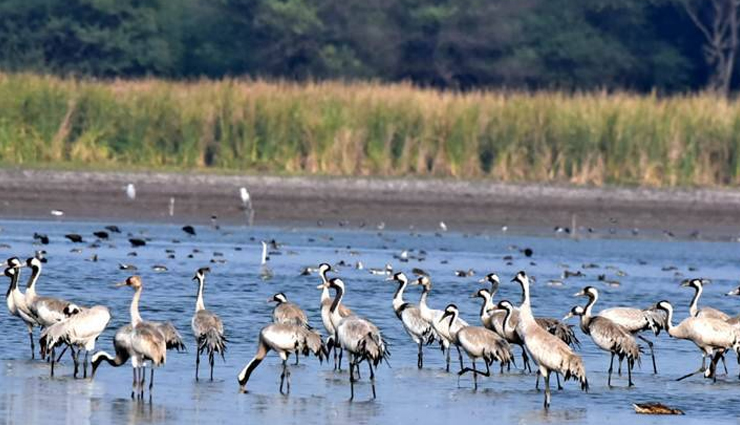 places near nashik,best tourist spots near nashik,top attractions near nashik,explore nearby places from nashik,day trips from nashik,weekend getaways near nashik,must-visit destinations near nashik,travel destinations close to nashik,popular places to see near nashik,nashik nearby tourist attractions