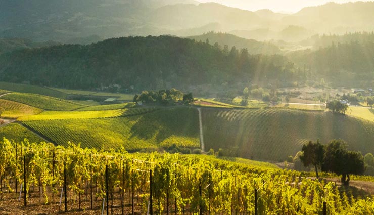 tourist places,foreign tourist places,places for wine lovers,famous foreign places,california places