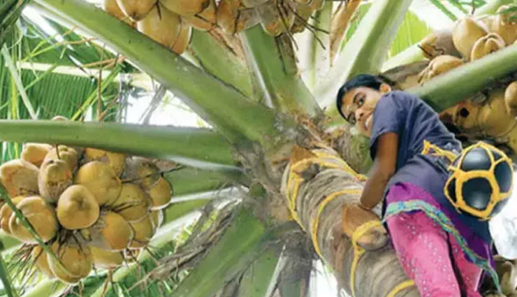 chhath puja,chhath puja prasad,chhath puja 2020,chhath prasad,chhath prasad ke fayde,Health,Health tips