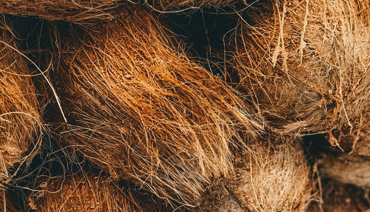 holi totke,holi tips,holi ke upay,holi ke totke,holi par laxmi ko prasan karne ke upay