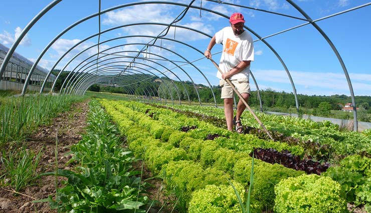 पृथ्वी की तरह अब चंद्रमा और मंगल पर उगेंगे टमाटर-मटर, नासा ने की तैयारी