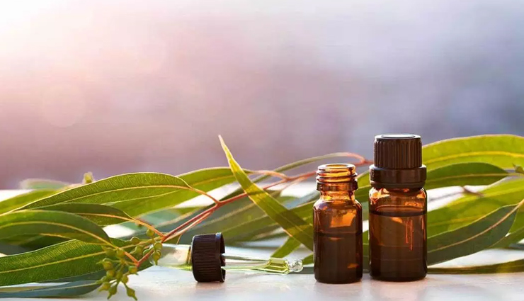 garlic,steam,eucalyptus oil,warm water shower,apple cider vinegar,nasal congestion,home remedies,home remedies to treat nasal congestion,Health tips,fitness tips