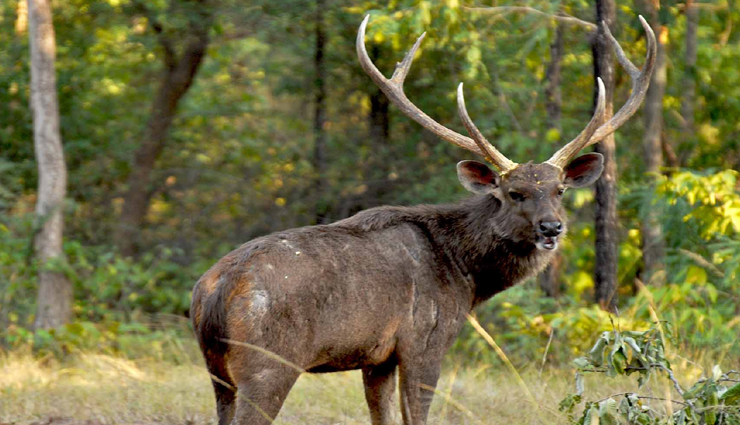 national parks,beautiful national parks in india,india tourism,tourist places in india,india tourism