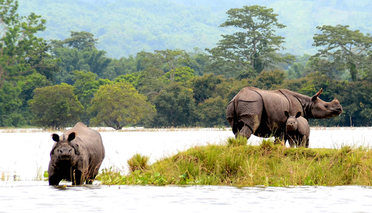 national parks,beautiful national parks in india,india tourism,tourist places in india,india tourism