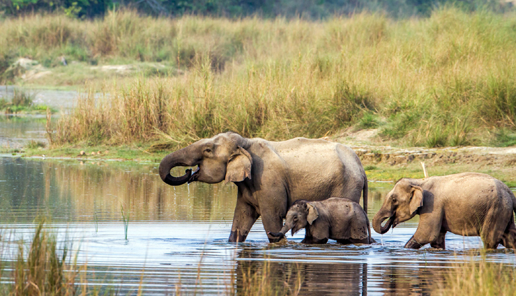 national parks,beautiful national parks in india,india tourism,tourist places in india,india tourism