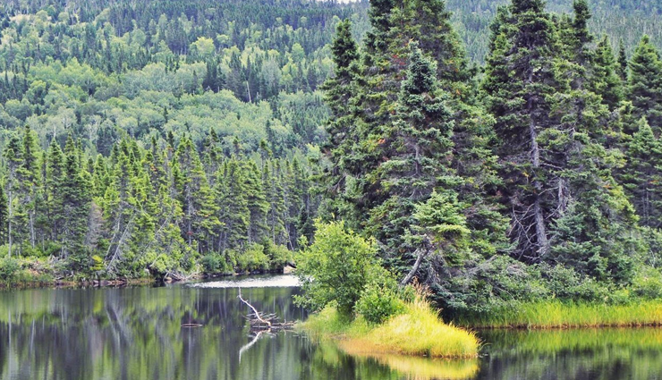 national parks to visit in canada,canada national parks,holidays,travel,tourism