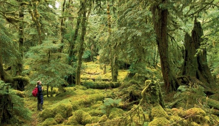 national parks to visit in canada,canada national parks,holidays,travel,tourism