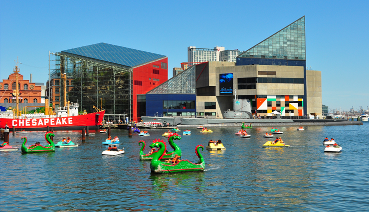 largest aquariums,worlds biggest marine exhibits,top aquarium destinations,aquatic wonders,marine life spectacles,oceanariums around the globe,giant fish tanks,underwater biodiversity,record-breaking aquariums,oceanic showcases