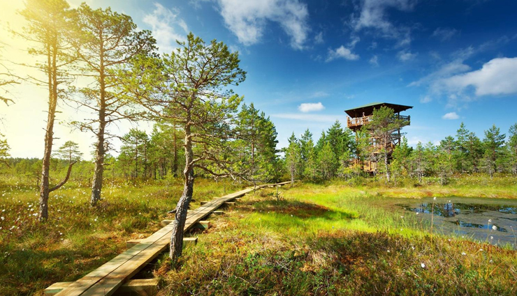 national parks to visit in estonia,lahemaa national park,korvemaa nature reserve,soomaa national park,matsalu national park,vilsandi national park,national parks to visit in estonia,estonia