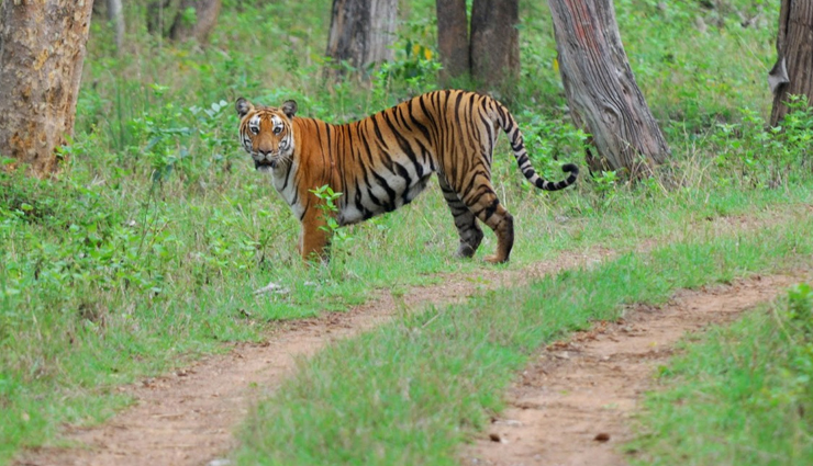 beautiful places of karnataka,karnataka major attractions,visiting karnataka beautiful places,tourism,travel,holidays