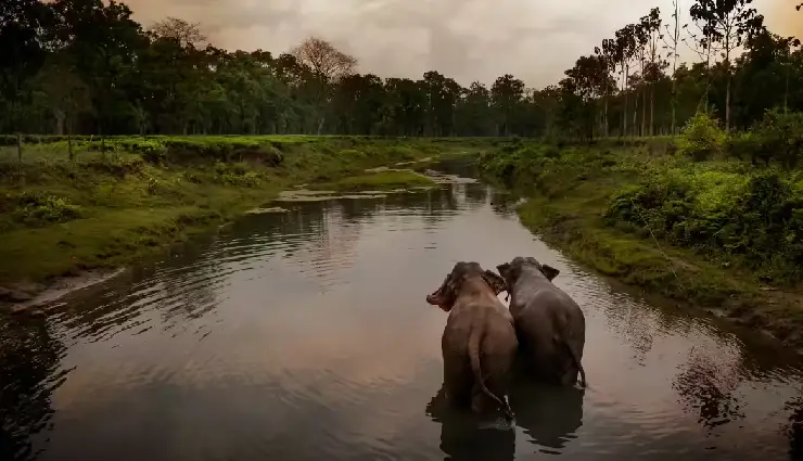 assam tourism,places to visit in assam,assam travel guide,assam tea gardens,guwahati attractions,sualkuchi silk village,tezpur city of romance,assam culture and festivals,assam natural beauty,assam honeymoon destinations,assam vacation spots,assam history and heritage