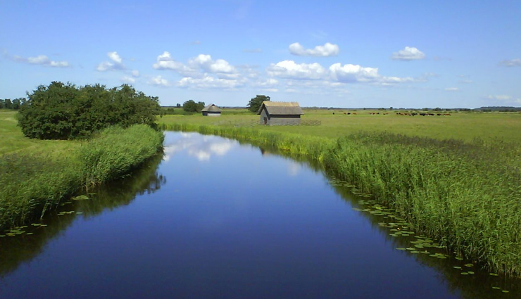 national parks to visit in estonia,lahemaa national park,korvemaa nature reserve,soomaa national park,matsalu national park,vilsandi national park,national parks to visit in estonia,estonia